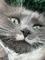 Morgane...