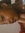 Omadele