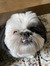 Roxi