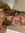 Emmi Lenger