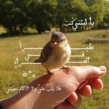 شهد عبدالله