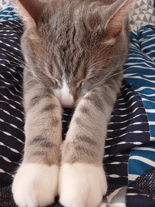 Charlie