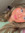 Brooke
