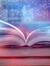 bookworm123