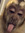 em