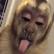 em
