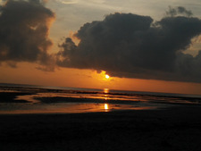 aarya