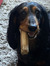Janneke...