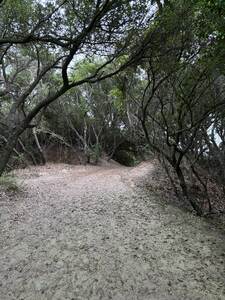 path