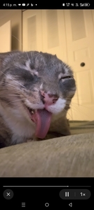 Ang