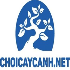 Chơi Cây Cảnh