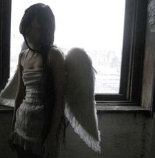 ⠀ˑ   nini   ͡꒱ ۫