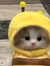 Yuuki Tano
