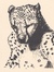 Rob