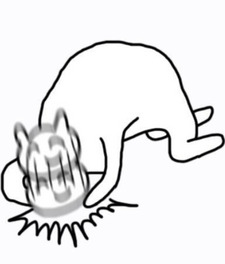 Pistachio Awkwardness