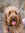 Macie