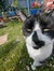 Jess