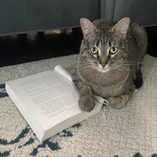 Stinker Reads