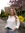 Jessie Lane | 2 comments
