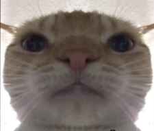 muffn