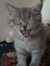 andreea =)