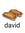 david