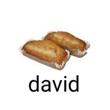david