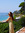 Ornella | 1 comments