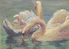 🦢