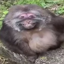 your worst nightmare