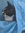 Nele