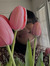 meryl ilin