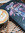 member photo member photo