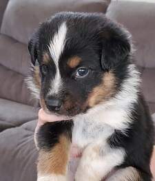 ✝️❤️‍Brie❤️✝️