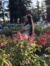 Aditi