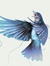 Anouk