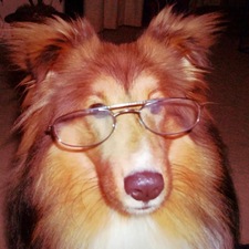 monchichi  ⋆｡°✩