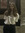 alessia
