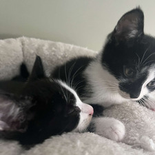 emma sterry &#x1f48c;