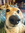 member photo member photo