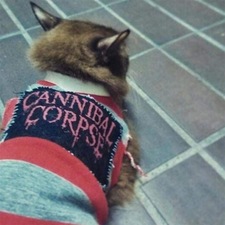 Sebastian Castelo Gómez