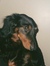 Shruthi