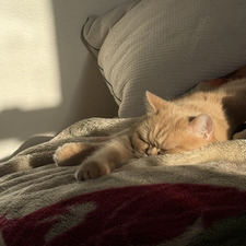 nancy ⋆౨ৎ˚⟡˖ ࣪