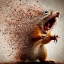 Samantha Arrunategui