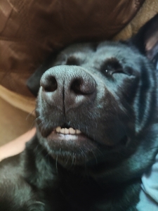 Alejandro Navarro García