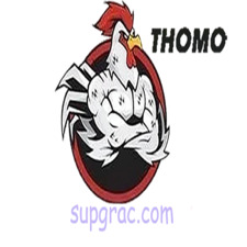 ĐÁ GÀ TRỰC TIẾP  THOMO