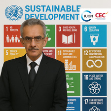 وليد الأشوح