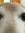 Inesis