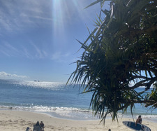 Gabrielle Clarke&#x1fa75;