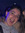 Morgane
